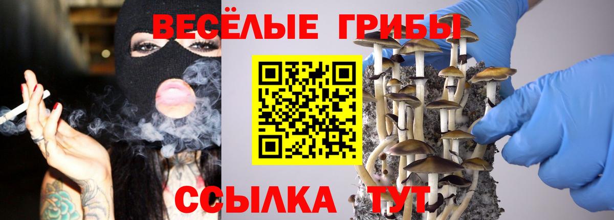 Галлюциногенные грибы GOLDEN TEACHER  Вход с VPN  где купить наркоту  Кизляр 